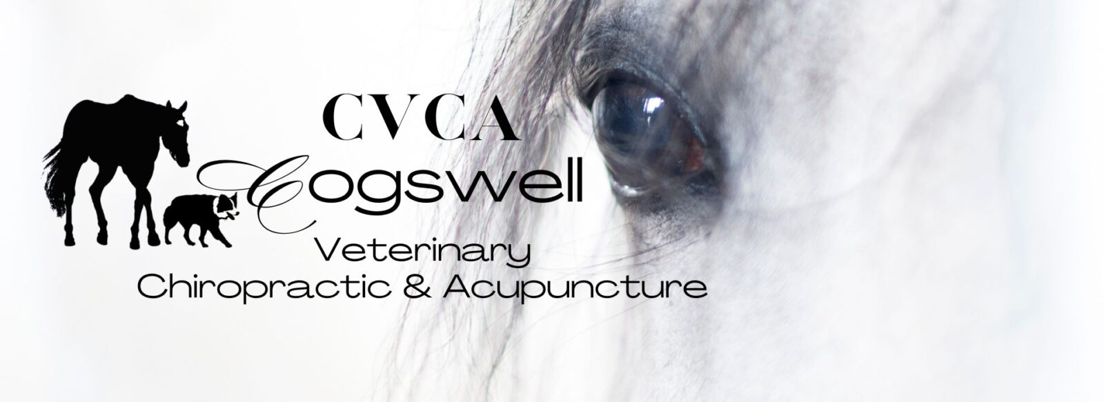 Black and white closeup of a horse's eye and CVCA Logo